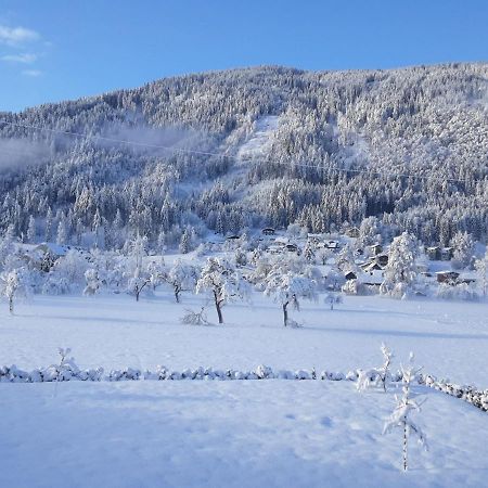 Apartment-Ferienwohnung 3 Treffen Am Ossiachersee المظهر الخارجي الصورة