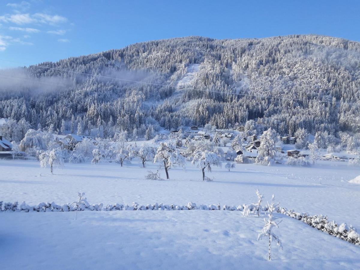 Apartment-Ferienwohnung 3 Treffen Am Ossiachersee المظهر الخارجي الصورة
